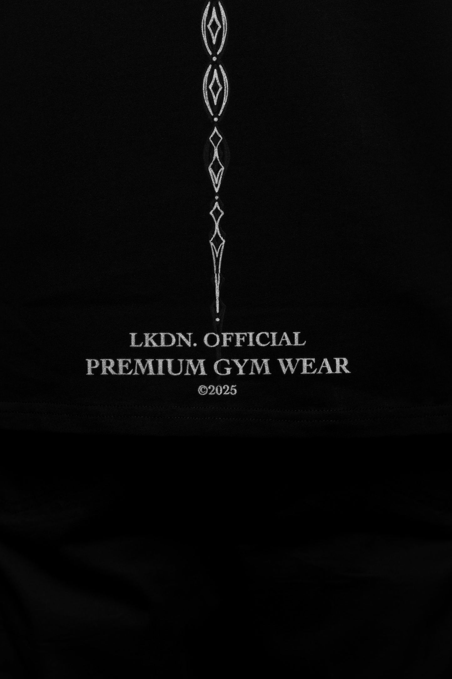 Ashin spine oversized tee